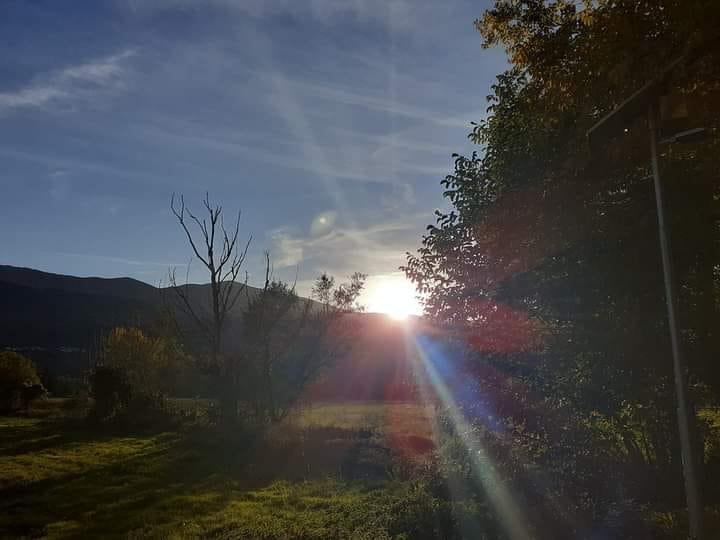 alba purgante